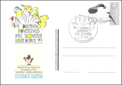 9. DRŽAVNO PRVENSTVO PTIC SLOVENIJE